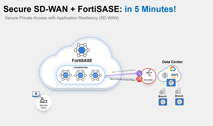 video sase demo thumb